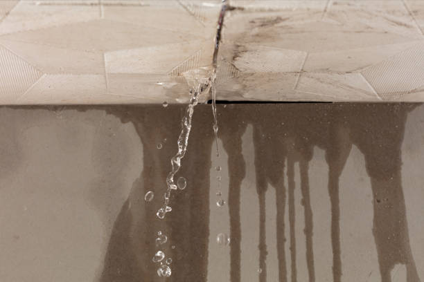 Professional Structural Drying technician working in Schwenksville, PA